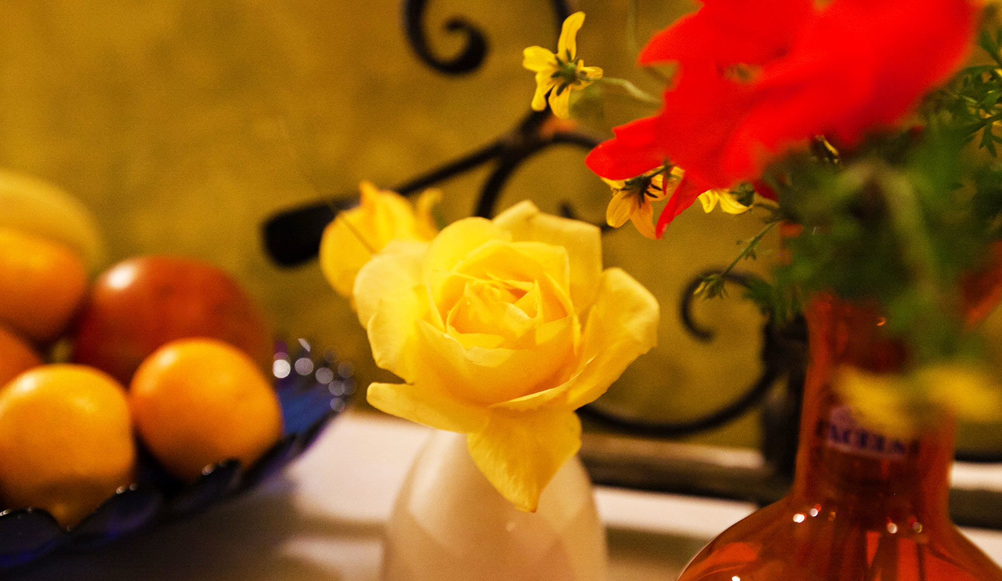 Bjelolasica Apartmani